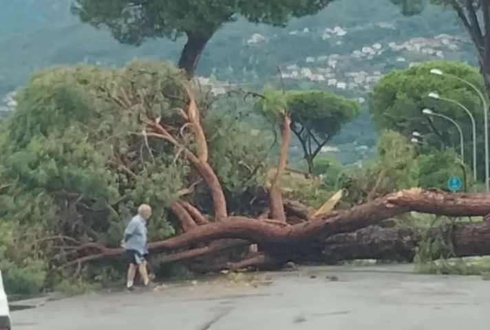 tromba d'aria travolge uccide aiutante clochard