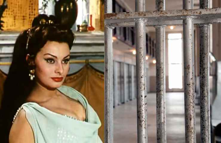 arrestata sarta sofia loren