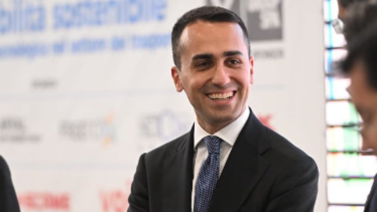 vitalizio Luigi Di Maio