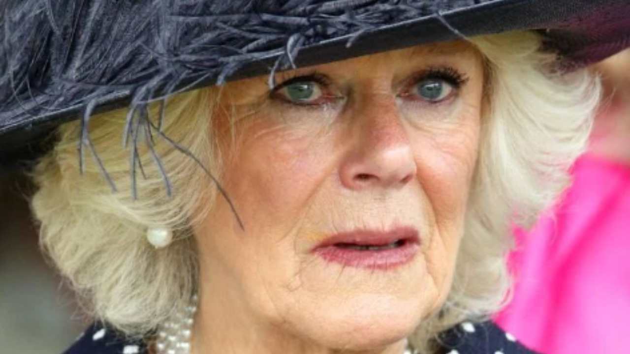 Royal Camilla Corona